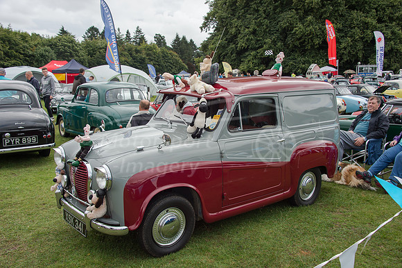 D4S_9325.jpg