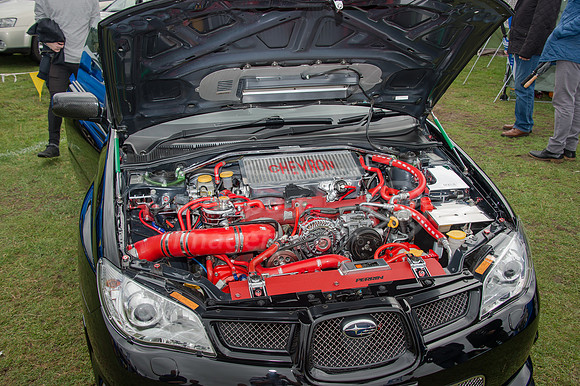 D4S_9310.jpg
