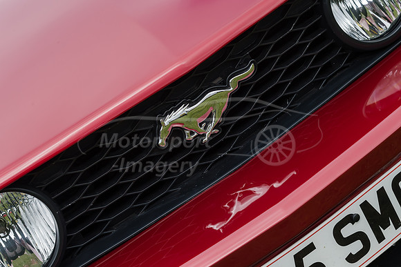 Mustang
