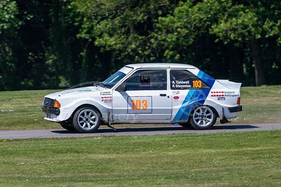 103, Andy Caldwell, Paul Steventon, Ford Escort Mk III,