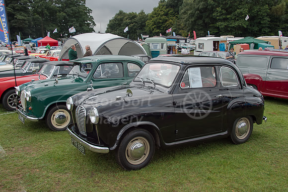 D4S_9135.jpg