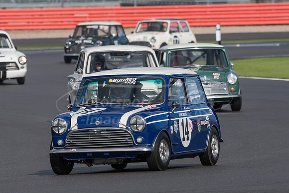D50_1325.jpg