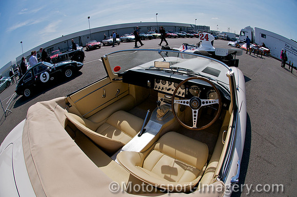 Jaguar E-Type, GAS 309