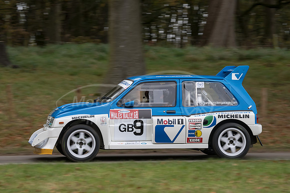 DGG_8625.jpg