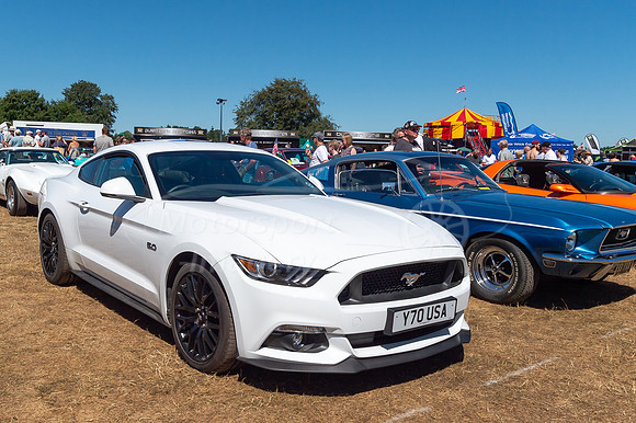 Ford Mustang 5.0GT Y70USA