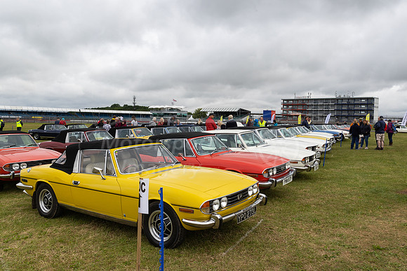 Stag Owners Club