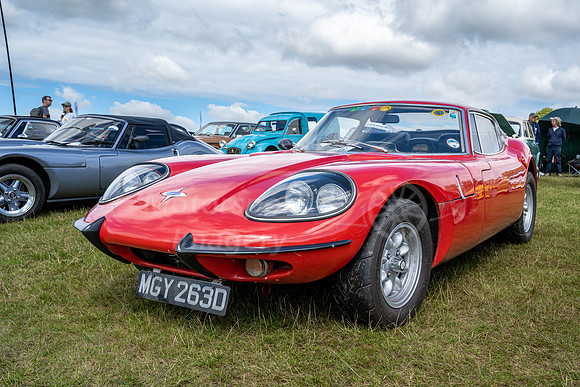 MGY263D