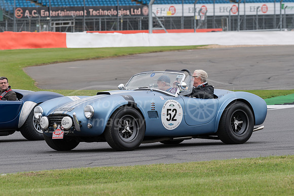 AC Cobra 290UXO