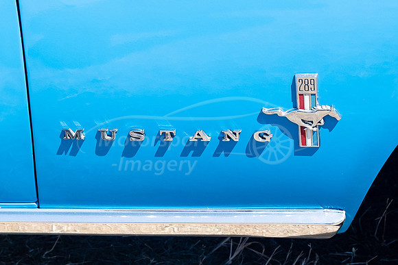 Ford Mustang 289