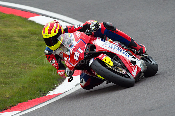 81 Aaron BROWN Ducati Panegale