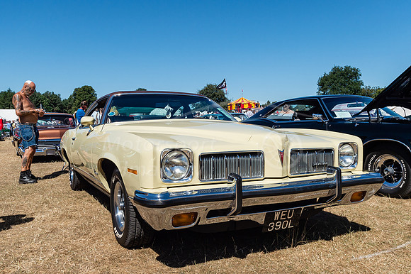 Pontiac WEU390L