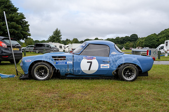 DSC_2784