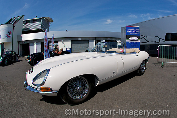 Jaguar E-Type, GAS 309