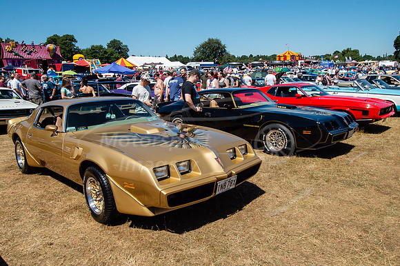 Trans Ams