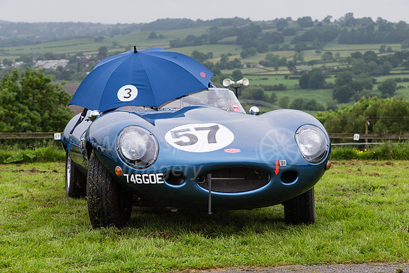 57 Adrian Evans  Jaguar D Type Replica