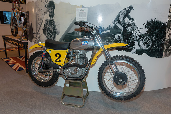 DGG_0388.jpg