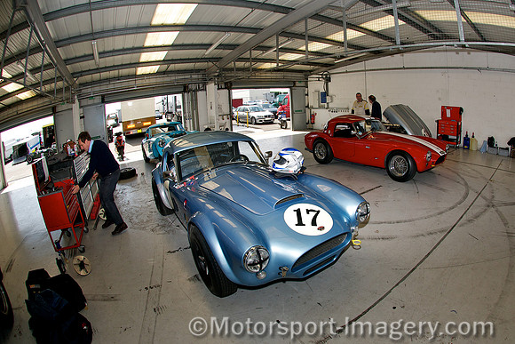 Shelby Cobra