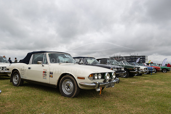 Stag Owners Club