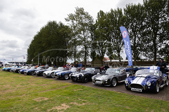 Cobra Replica Club