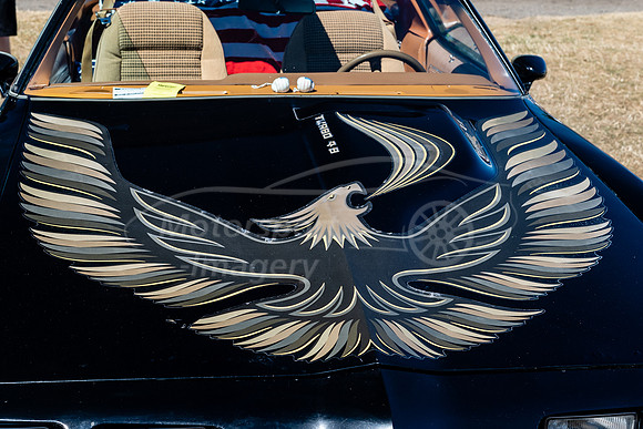 Trans am