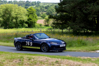 Harewood Classic and Vintage Hillclimb June 8