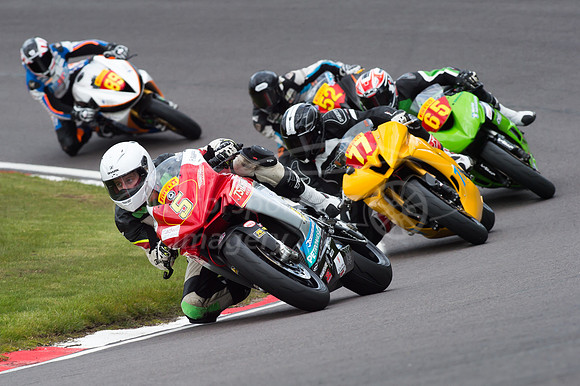 5 Max ALEXANDER Tsingtao Hampshire MV Agusta