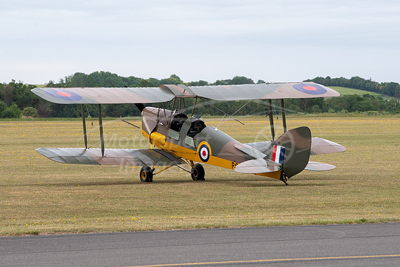 Tiger Moth