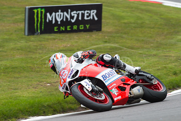 43 Robbie BROWN Ducati Panegale