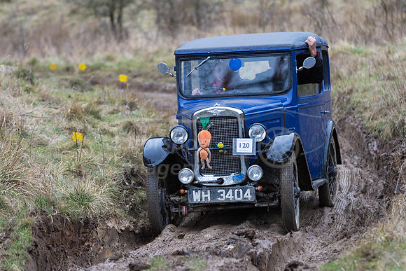 120  Miss Elizabeth Stephens - AUSTIN 7
