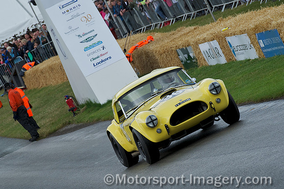 Bill Bridges, AC Cobra 289 Roadster