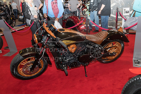 Project Scout Indian