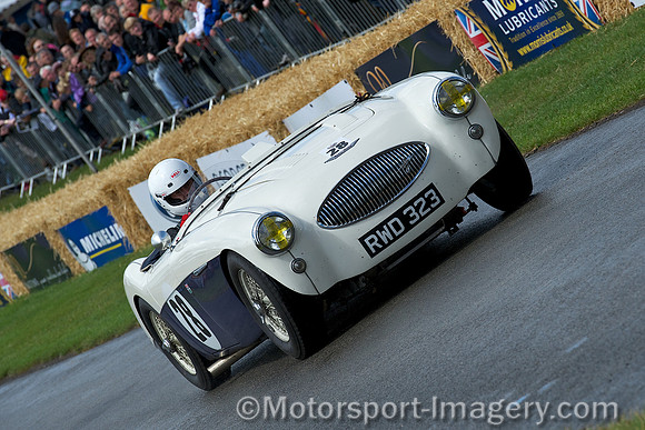 Robert Waterhouse, Austin Healey 100S