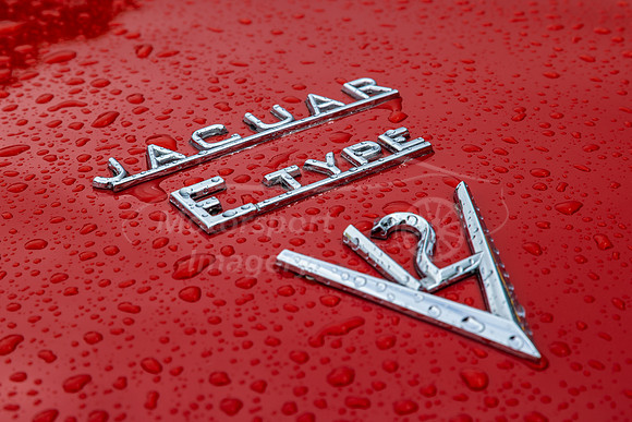 Jaguar E Type V12