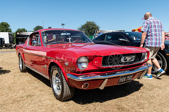 Ford Mustang HOV75D
