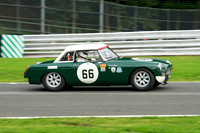 Oulton Park Gold Cup, Guards Trophy GT Cars