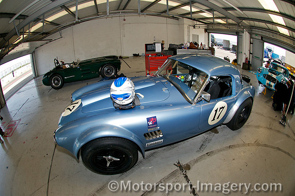Shelby Cobra
