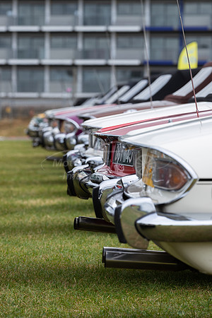 Stag Owners Club