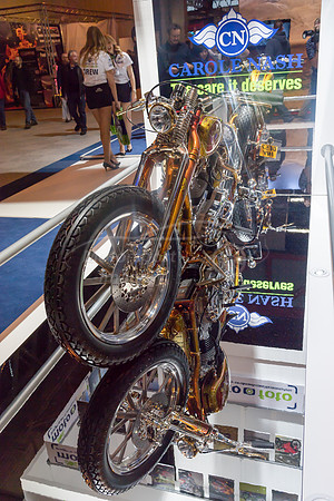 DGG_0477.jpg