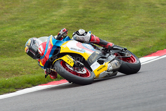 17 Carl STEVENS Ducati Panegale