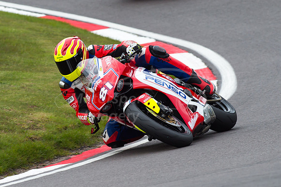 81 Aaron BROWN Ducati Panegale