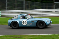 Michael Whittaker, TVR Griffith
