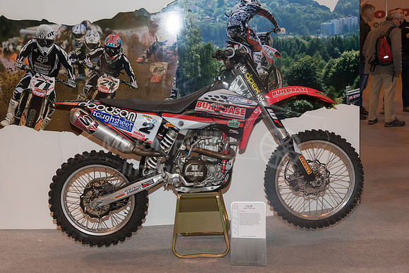 DGG_0387.jpg