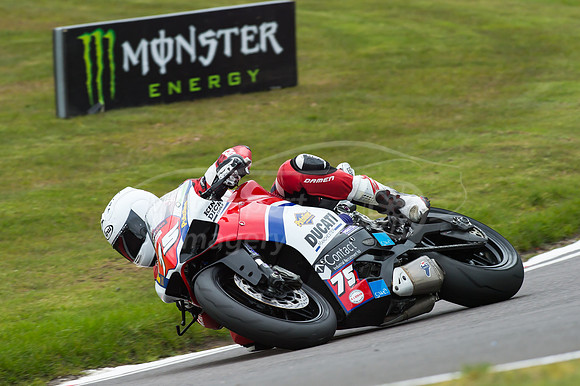 75 Danny HILL Ducati Panegale