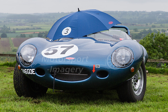57 Adrian Evans  Jaguar D Type Replica