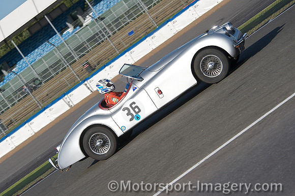 Jaguar XK120, Nicholas Wilkins,