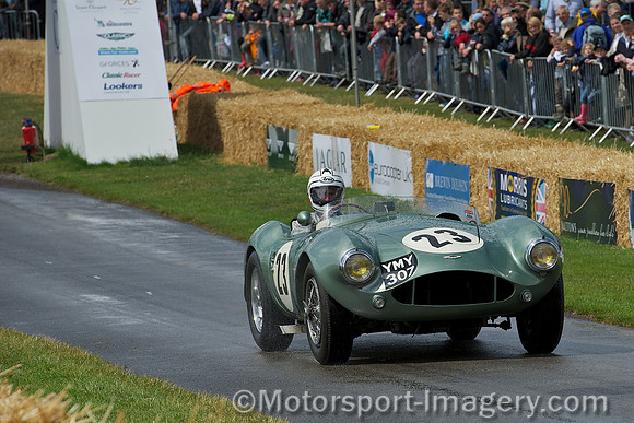 Stephen Dyer, Aston Martin DB3S
