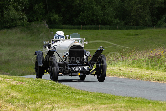 46 Vivian Bush