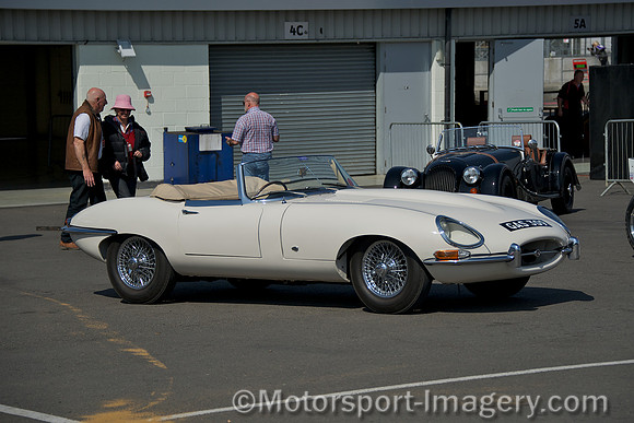 Jaguar E-Type GAS309