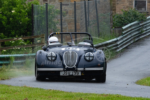 Anthony Taylor  Aristocat Jaguar